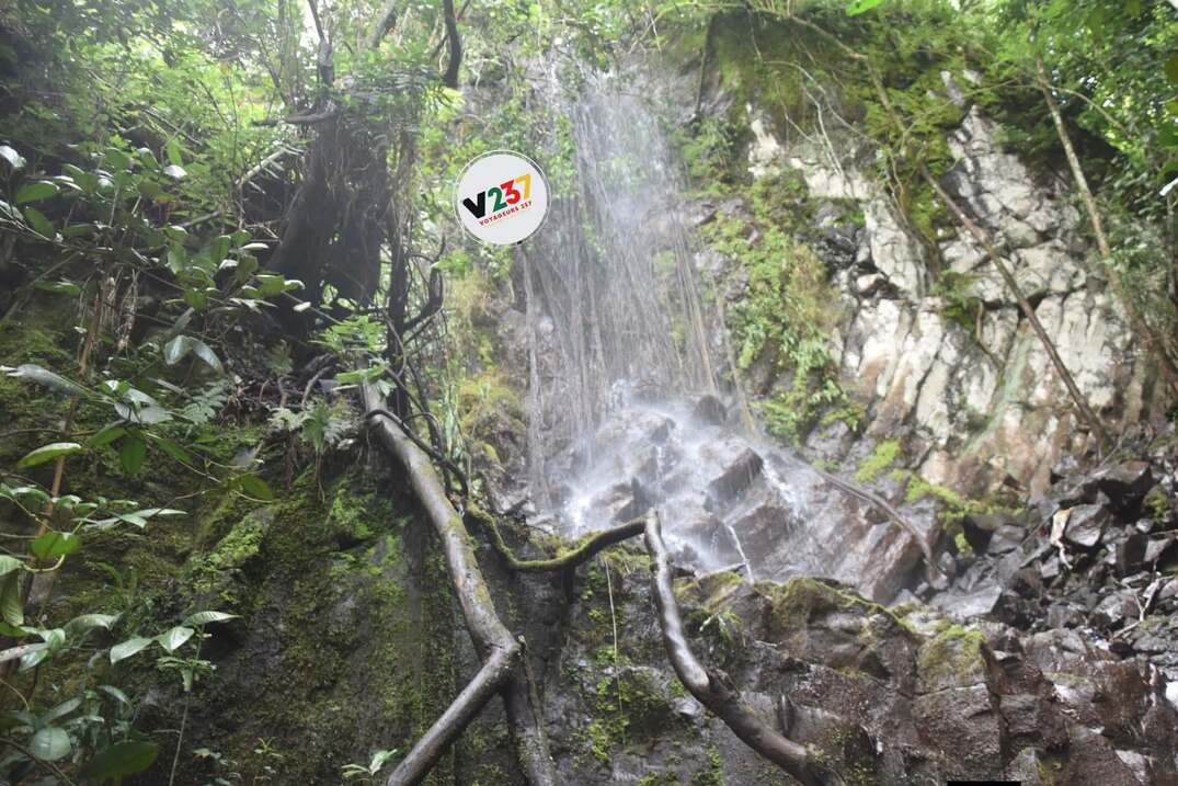 Les Chutes De La'apa